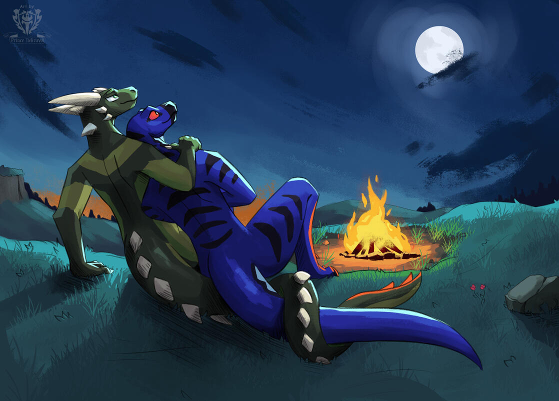 [COMMISSION] Love underneath the night sky~